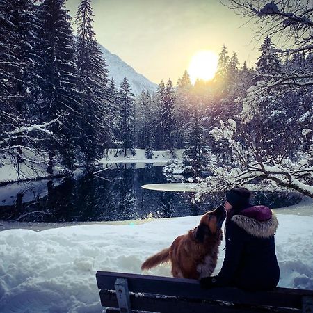 Apartment Maya, La Praz, Chamonix Mont Blanc 外观 照片