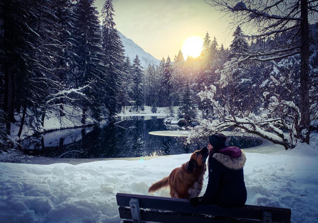 Apartment Maya, La Praz, Chamonix Mont Blanc 外观 照片