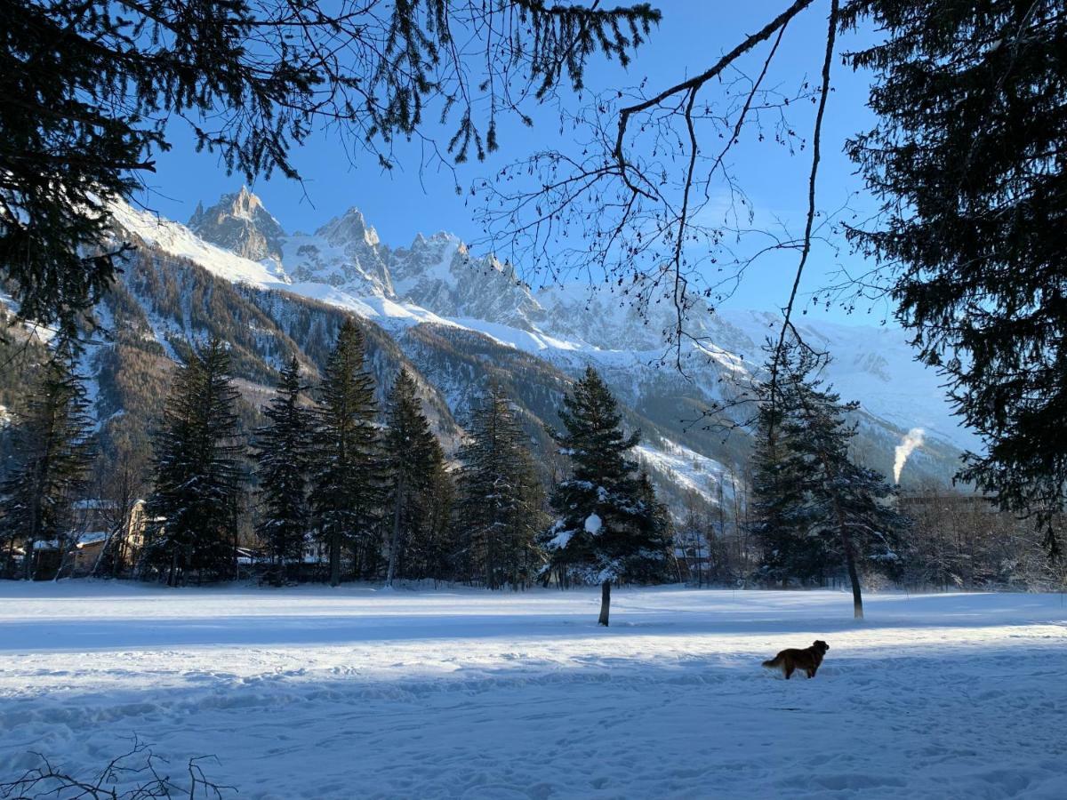 Apartment Maya, La Praz, Chamonix Mont Blanc 外观 照片